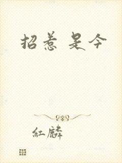 招惹 是今