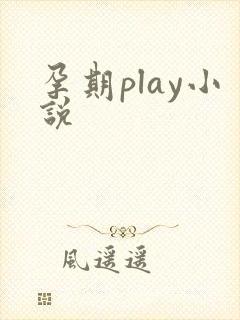 孕期play小说