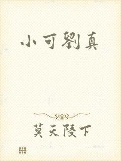 小可刘真