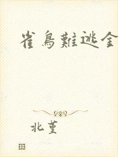 雀鸟难逃金笼封面