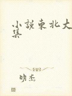 小说东北大炕全集