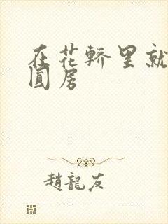 在花轿里就开始圆房