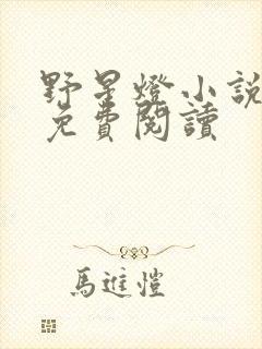 野星灯小说全文免费阅读封面