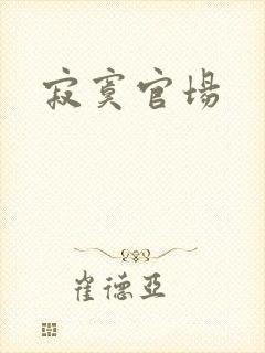 寂寞官场