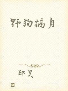 野狗摘月