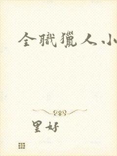 全职猎人小说