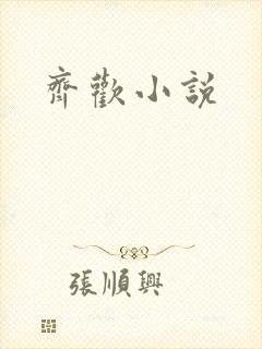 齐欢小说封面
