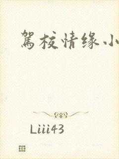 驾校情缘小说封面