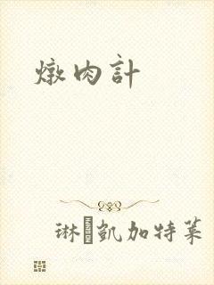 炖肉计
