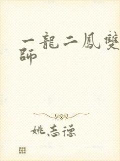 一龙二凤双飞老师封面