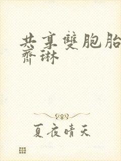 共享双胞胎齐娜齐琳封面