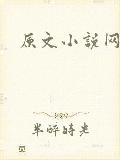 原文小说网封面