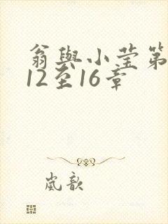翁与小莹第十部12至16章