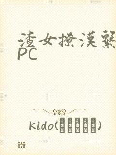 渣女撩汉系统NPC