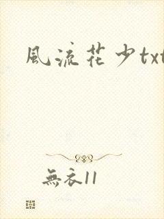 风流花少txt封面