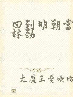 回到明朝当王爷林劲