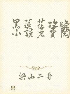 黑莲花攻略手册小说免费阅读
