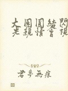 大团圆结闪闪发光亲情会视频