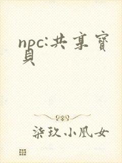 npc:共享宝贝
