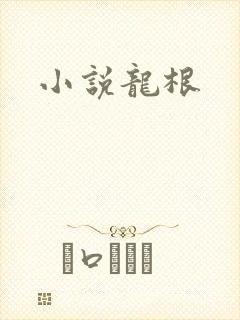 小说龙根