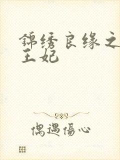 锦绣良缘之北地王妃封面