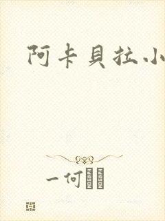 阿卡贝拉小说
