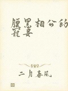 腹黑相公的庶女宠妻