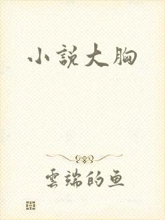 小说大胸