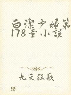 白洁少妇第1一178章小说封面