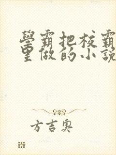 学霸把校霸往死里做的小说封面