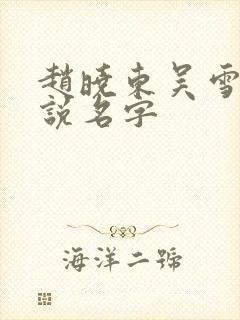 赵晓东吴雪晴小说名字