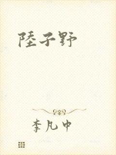 陆子野封面