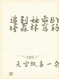 追到她乖BY黑暗森林写的小说
