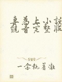 妻为上小说免费观看完整版笔趣阁