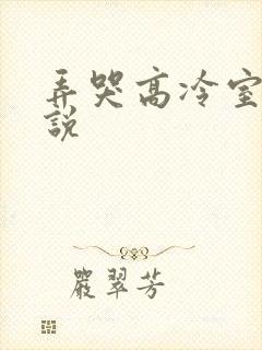 弄哭高冷室友小说封面