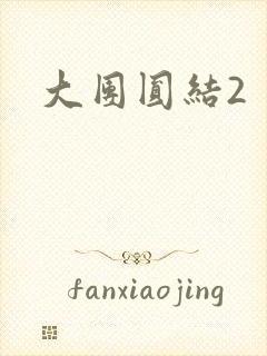 大团圆结2