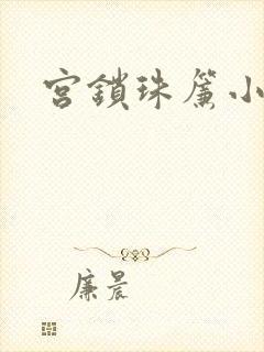 宫锁珠帘小说封面