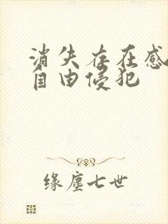 消失存在感消失自由侵犯
