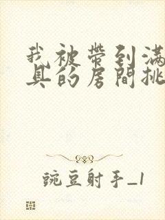 我被带到满是玩具的房间挑调作文