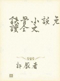 铁骨小说免费阅读全文