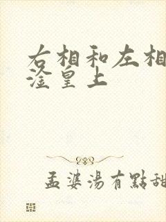 右相和左相一起淦皇上