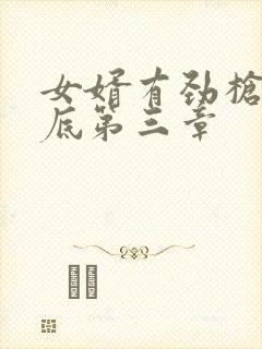 女婿有劲枪枪到底第三章封面