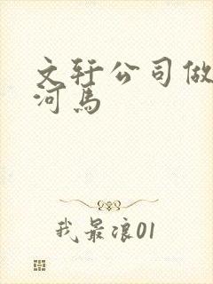 文轩公司做扩张河马