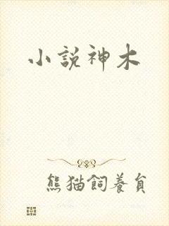 小说神木封面
