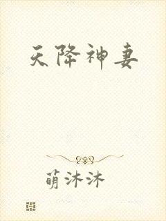 天降神妻