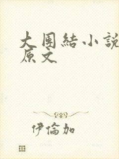 大团结小说阅读原文