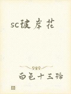 sc彼岸花