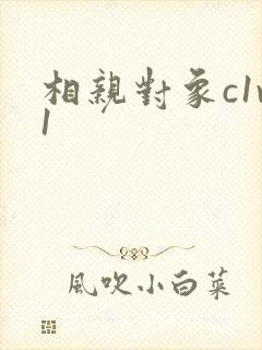 相亲对象c1v1