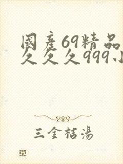 国产69精品久久久久999小说