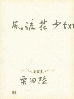 风流花少txt封面
